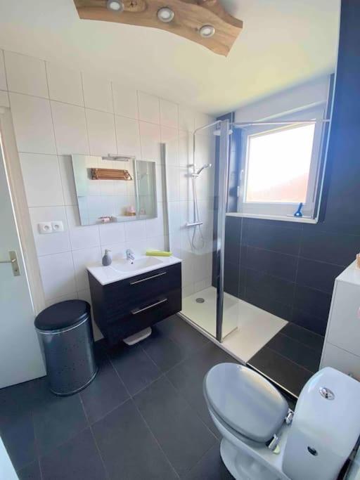 Logement Ideal Pour Un Sejour Alsacien En Amoureux Colmar Buitenkant foto