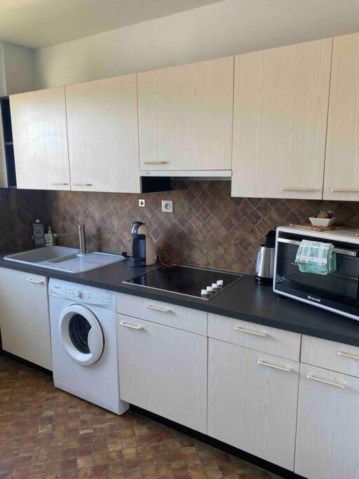 Logement Ideal Pour Un Sejour Alsacien En Amoureux Colmar Buitenkant foto